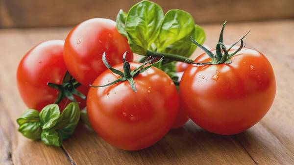 西红柿减肥的正确方法，营养师推荐：西红柿减肥的15天高效燃脂方案