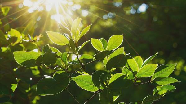 物理防晒霜和化学防晒霜区别，物理防晒反射光化学防晒吸收光的本质区别