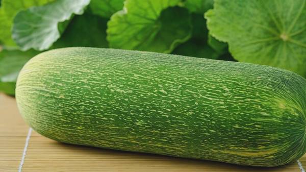 冬瓜怎么吃减肥效果最好，10种美味冬瓜减肥食谱助你高效燃脂