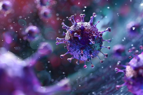 紫色隔离和绿色隔离的区别，预防为主与治疗优先：紫色绿色隔离的防控目标分野